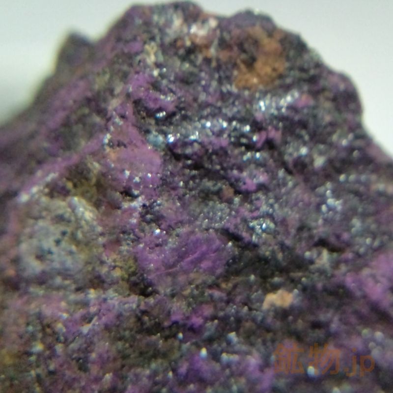 鉱物.jp / パープライト/紫石 鉱物標本 1個